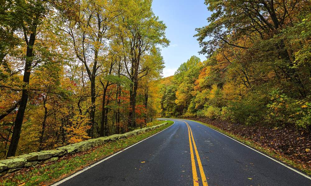 Skyline Drive curving through peak fall color in Shenandoah National Park