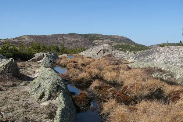 The summit view from Cadillac Mountain