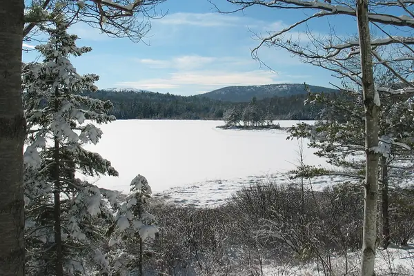 The coast in winter
