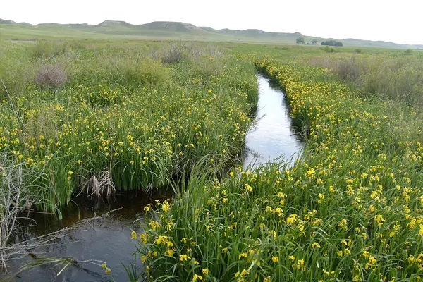 The Niobrara River headwaters