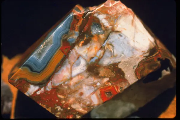 The colorful agatized flint prized for tools