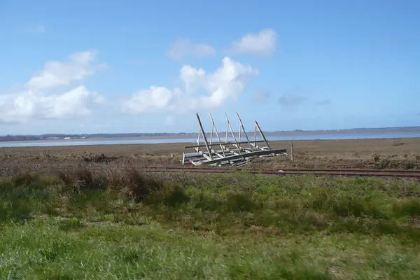 The Arcata Marsh and wildlife sanctuary