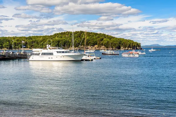 Boats in the harbor