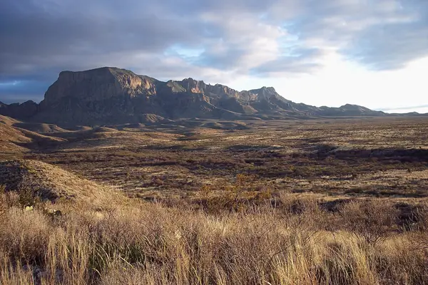The Chihuahuan Desert