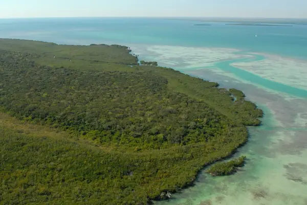 Mangrove islands from above