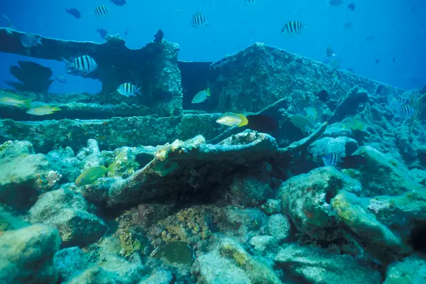 A shipwreck on the Maritime Heritage Trail