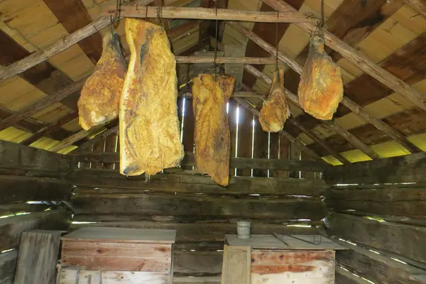 Tobacco curing in the barn