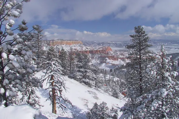 Hoodoos after a winter storm