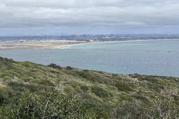 The San Diego skyline from the Bayside Trail