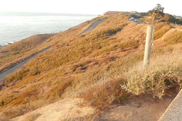 Coastal scrub above the Pacific
