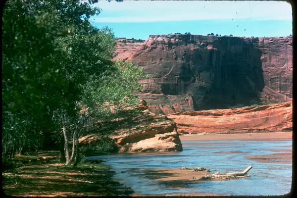The green canyon floor and wash