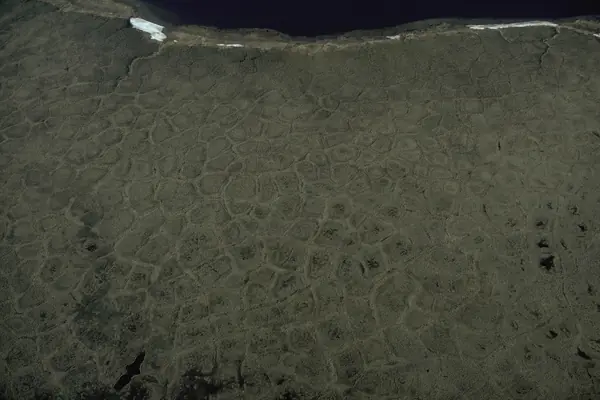 Patterned ground of Arctic permafrost