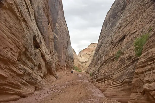 Driving Capitol Gorge