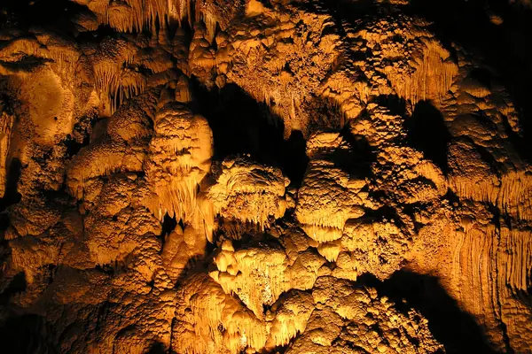 A forest of stalactites