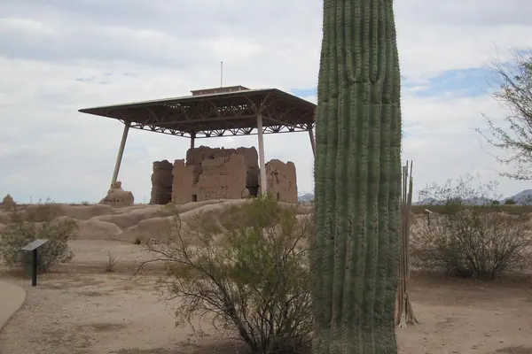The Great House and a saguaro