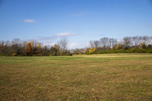 The grounds in autumn