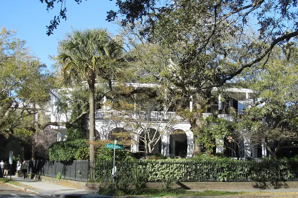 Palmetto-lined historic streets