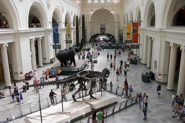 The Field Museum