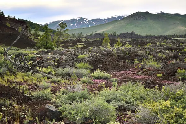 Lava fields and high desert