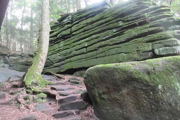 The Ritchie Ledges