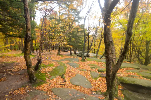 Autumn in the valley