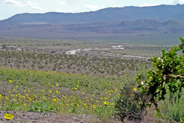 The Amargosa Range over the valley floor