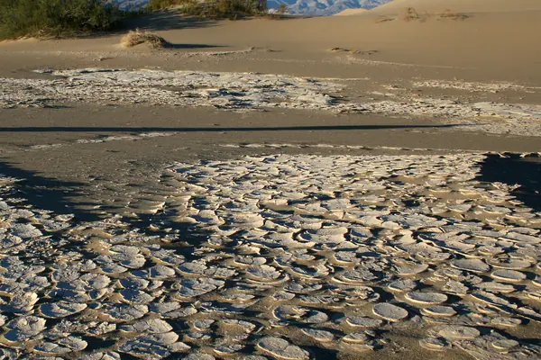 Cracked salt flats