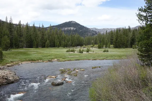 A meadow on the San Joaquin