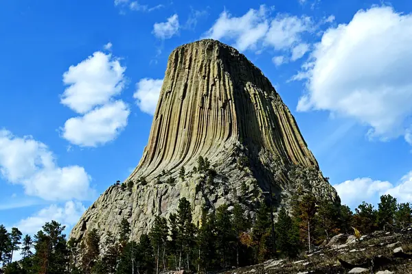 The tower from the base trail