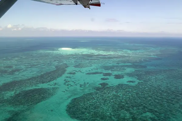 The coral reef