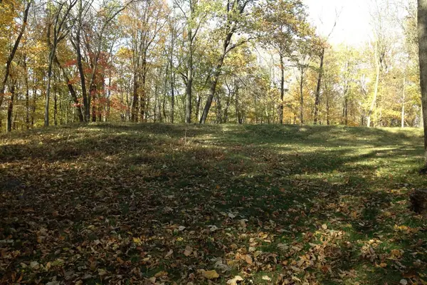 A bear-shaped effigy mound
