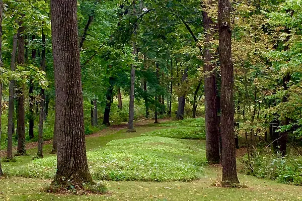 The Great Bear Mound Group