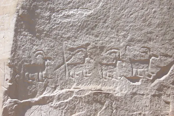 Centuries of carved inscriptions
