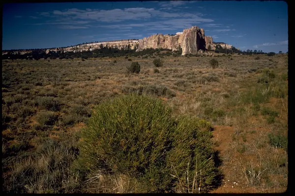 The bluff rises from the plain