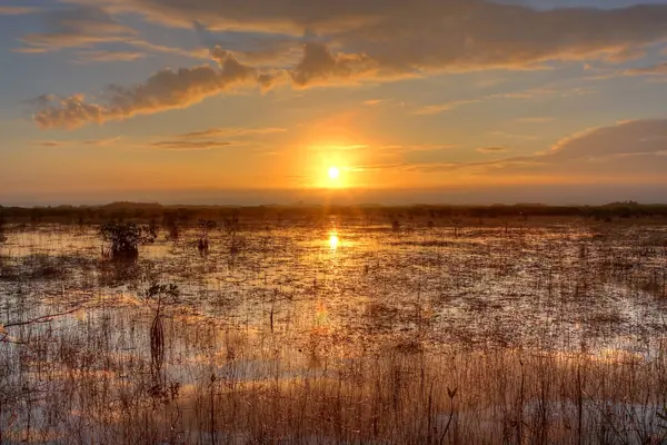 Sunset over the River of Grass