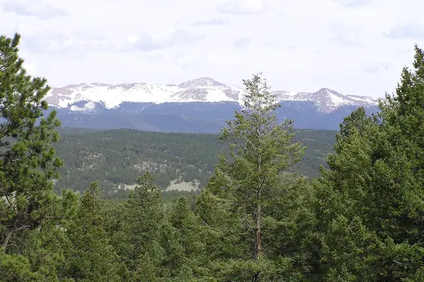 Mountain meadows below the peaks
