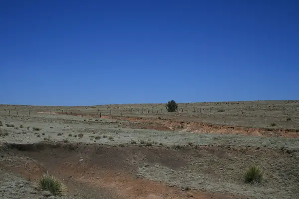 Wagon ruts of the Santa Fe Trail