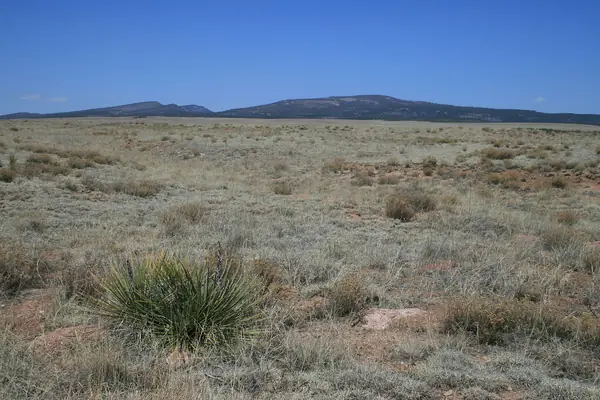 Ruins on the high plains