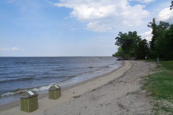 The Potomac shoreline at Popes Creek