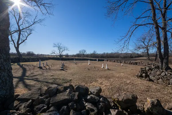 The tallgrass prairie of Carver's boyhood farm