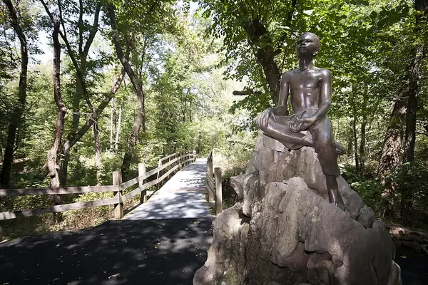 The Carver Trail through the woods