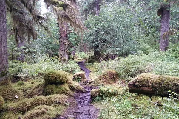 The Bartlett River