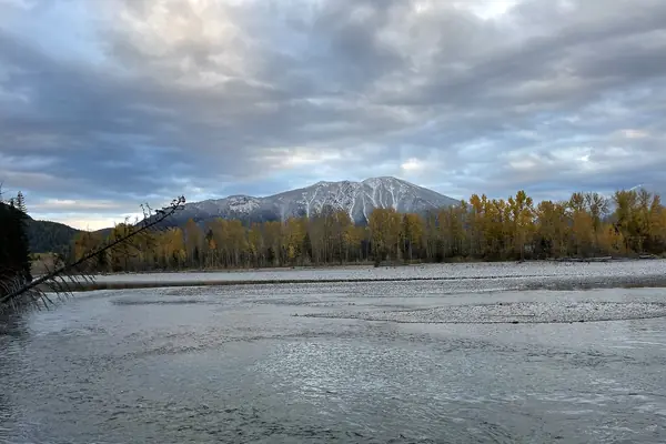 A clear river through the forest