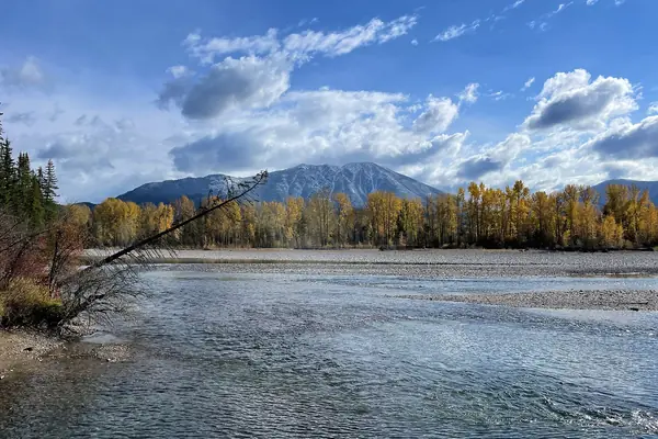 Fall color along the water