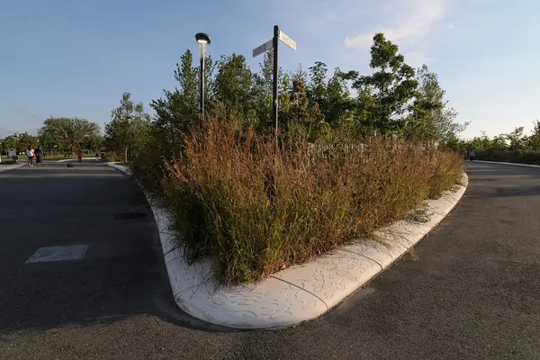 The Hills, a landscaped park