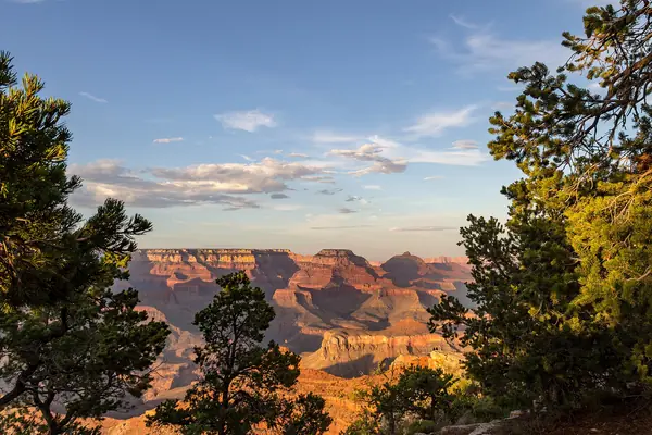 The South Rim near Tusayan