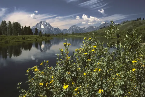 Mount Moran reflected at Oxbow Bend