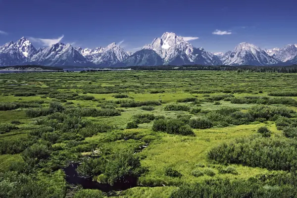 Willow Flats below the range