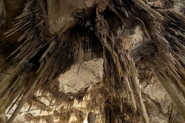 Formations in Lehman Caves