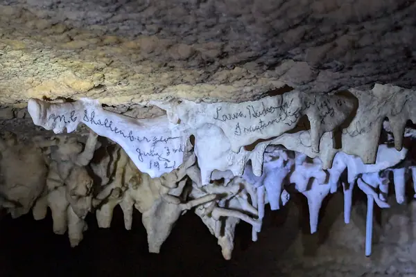 Rare shield formations in Lehman Caves